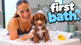 Puppy’s First Bath!