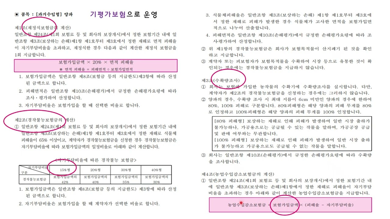 손해평가사 2차 농업수입보장 약관 살펴보기(과거수입형, 기대수입형)