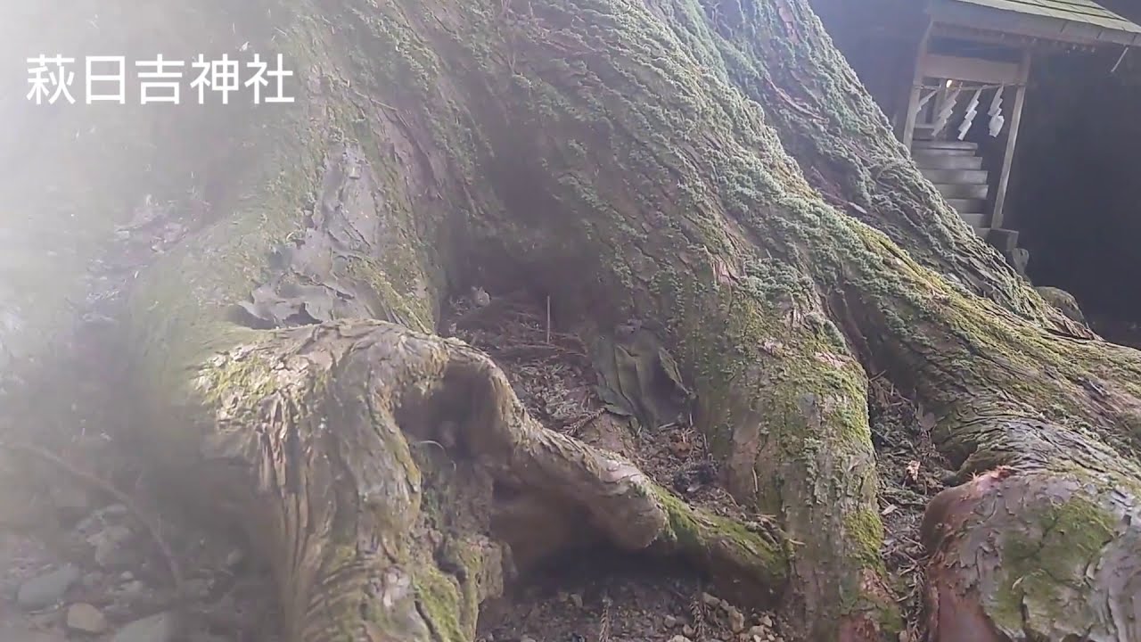 バツイチ生活系ユーチューバー ハギさんの小旅行 番外編 埼玉県ときがわ町の 萩日吉神社にいきました 由緒あるバワースポットです Youtube バツイチ生活系ユーチューバー ハギさんの小旅行 番外編 埼玉県ときがわ町の 萩日吉神社にいきました 由緒あるバワースポットです Youtube