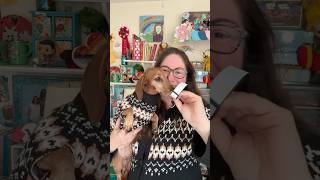 Sublimation Dog Collar