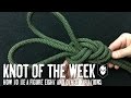 How to Tie a Figure-8, Threaded Figure-8 and Figure-8 on a Bight - ITS Knot of the Week HD