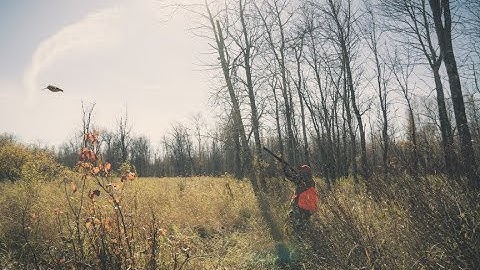 Bird Hunting Video Series - Project Upland