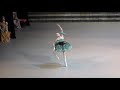 14/10/18 Daria Ionova variation No. 4 in Paquta