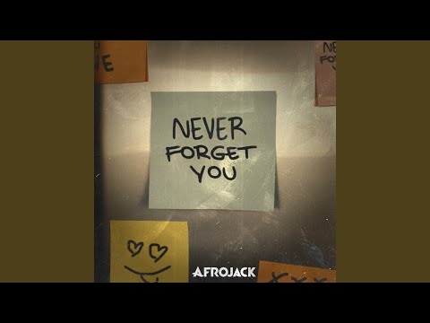 AFROJACK - Never Forget You