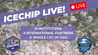 ICECHIP Live!