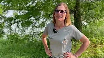 Habitat Hints: Bald Cypress trees