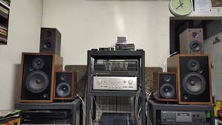 Wavecor 8 Monitor Classic By First