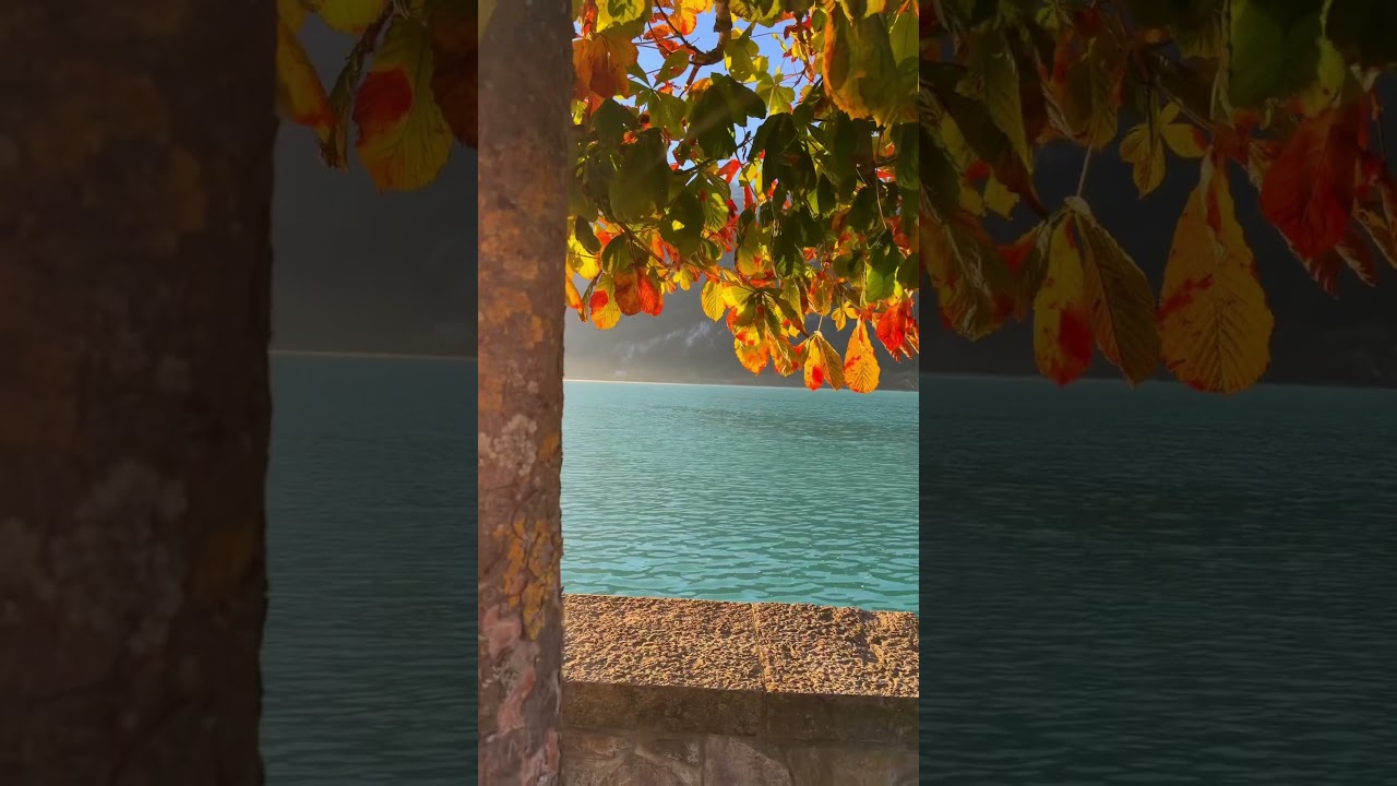 Autumn in Switzerland #switzerland #youtubeshorts #travel