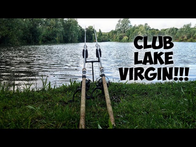 Day Ticket Carp Fishing - 48 Hours On Bluebell Lakes - Mallard Lake 