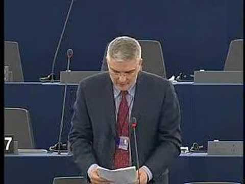 Daniel Daianu on Report on the ECB annual report f...