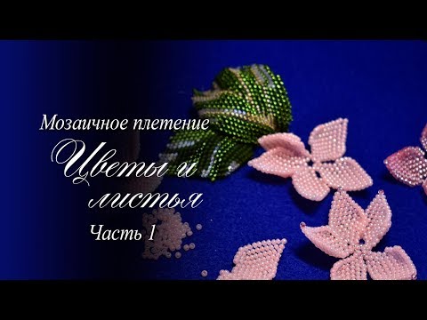 Сведения о документе