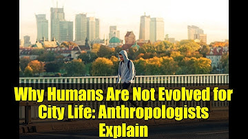 Why Humans Are Not Evolved for City Life: Anthropologists Explain