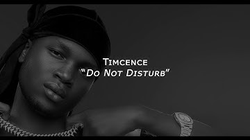 Timcence - Do Not Disturb (Official Lyric Video)