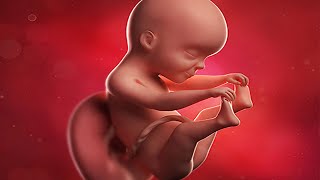 كيف يمكن للحامل تحفيز حركة الجنين فى الرحم وكيف يمكنها مراقبة هذه الحركات ؟