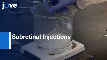 Subretinal Injections to Deliver Retinal Pigment Epithelium Cells | Protocol Preview