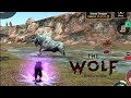 The wolf  the snow auroch champion thewolf