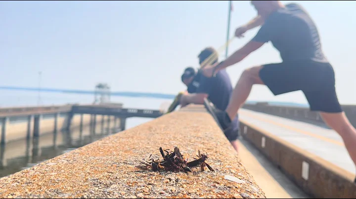 Sniping Hornets with Wrist-Rockets