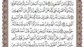 سورة يوسف الصفحة 239 من القران للشيخ ياسر الدوسري