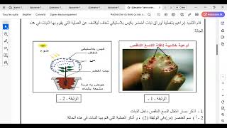 أجمل مراجعة لفرض الفصل الثاني مع أبطال الأولى متوسط