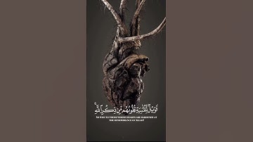 سورة الزمر /  الشيخ رعد الكردي/ تلاوة خاشعة تريح القلب
