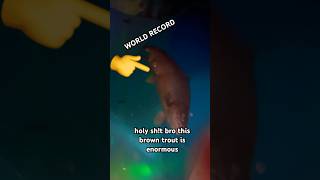 world record type sh!t #fishing #bassfishing #trout