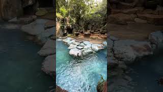 Pinguin #tamansafari #pinguinlucu #pinguin