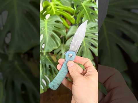Sencut Snap Customized 9Cr18MoV Anso Fade Dye Teal Blue Splash Etch Choil Lock Access WE Knife 