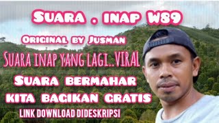 suara inap W89 original sudah terbukti suara berkualitas