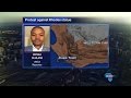 Vice Chancellor: Cecil Rhodes statue