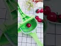 夏天喜欢喝果汁的 可以入手一个手动榨汁机 喝果汁就超级方便 好物推荐 夏天喜欢喝果汁的 可以入手一个手动榨汁机 喝果汁就超级方便 好物推荐