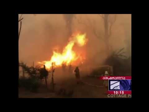 ლიბანში ახალგაზრდა აქტივისტებმა პოლიციელებს ქვები და სხვადასხვა საგნები დაუშინეს