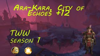 Holy Paladin POV | +12 Ara-Kara, City of Echoes | Mythic plus