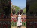 Kashmir ❤️tulip🌷garden❤️ video #love #like #comment #subcribe #