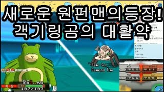 새로운 원펀맨 등장?!객기 사이타마링곰! 포켓몬스터 싱글배틀!