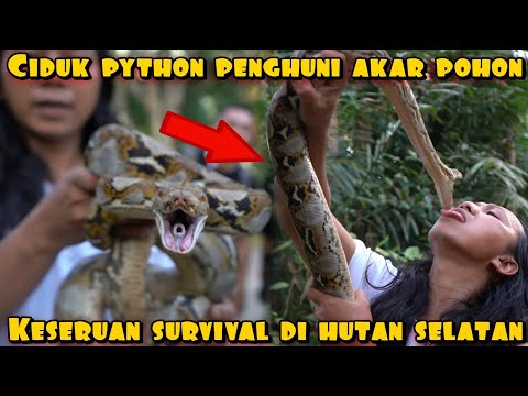 Katta vulva bilan porno Jinsiy aloqa