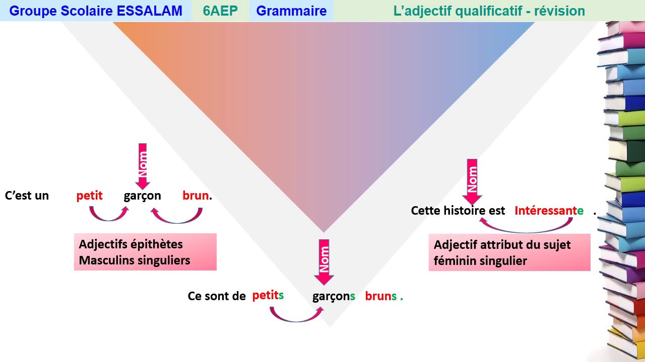 L'adjectif qualificatif - Grammaire - 6AP - YouTube