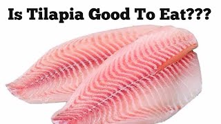 Are tilapia good to eat?