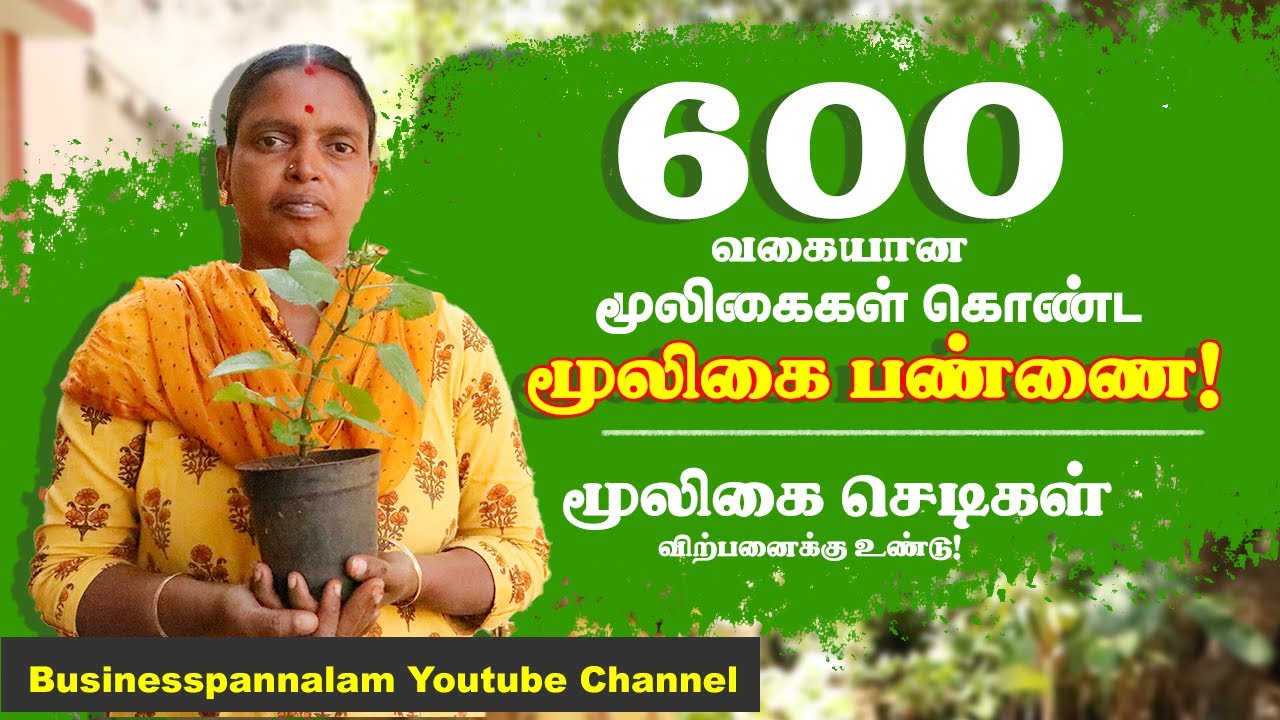 600 வகையான மூலிகை செடிகள் கொண்ட மூலிகை பண்ணை அமைத்தார் ! விற்பனையும் உண்டு.