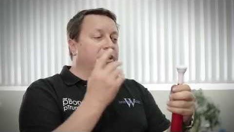 How to Use pBuzz | Instruments for Kids | How to Teach Music with pBuzz