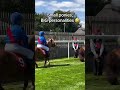 We’re here for the enthusiastic Shetland ponies 🤣 #horse #horseracing