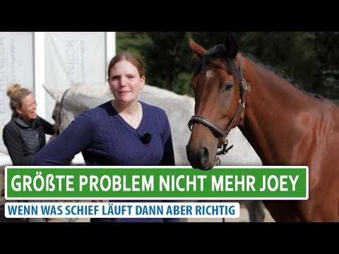 Angst beim Reiten – Wenn der Kopf nicht mehr mitspielt | Pferde ausbilden