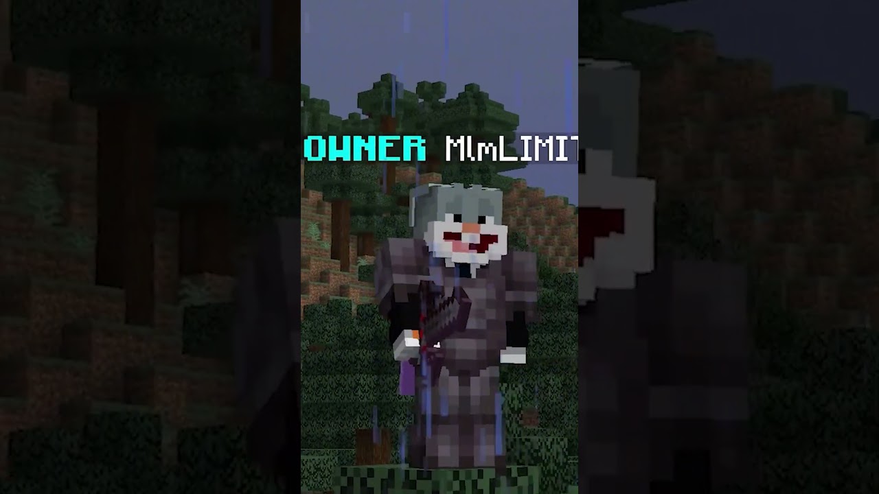 How I Found Owner's Secret Base in This Minecraft SMP!