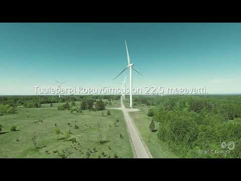 Video: Hispaania Tuulepark Genereerib Liiga Palju Energiat - Matadori Võrk