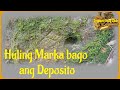 Huling Marka bago ang Deposito | Yamashita Treasures