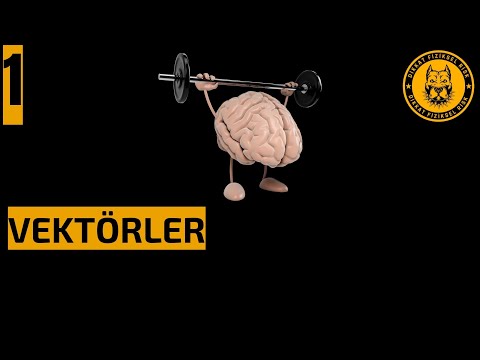 ZOR SORULARLA FİZİK VEKTÖRLER | FİZİKLE BARIŞ ZOR SORULAR