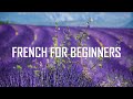 French for beginners Units 1-2-3-4-5-6 (8 hours 53 minutes)