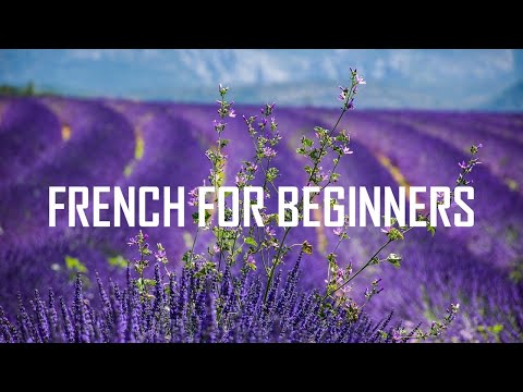 [French for beginners] Units 1-2-3-4-5-6 (8 hours 53 minutes)