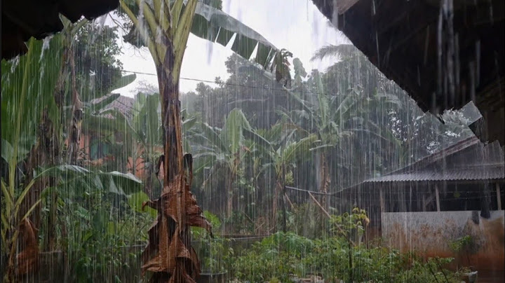Heavy Rain and Strong Winds Create a Comfortable Atmosphere for Rest | Heavy Rain Relaxation