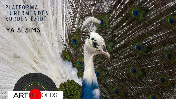 Qora ayol bilan yuqori sifatli porno Porno homilador ayollar