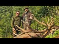 Red stag hunting in romania  hirschjagd in den karpaten  kronhjort jagt i rumnien